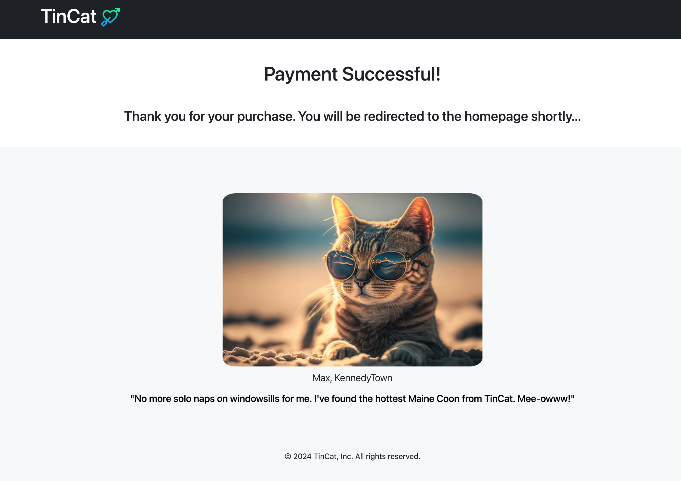 Preview of Payment Success Page 